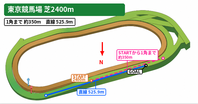 東京芝2400mのコース図