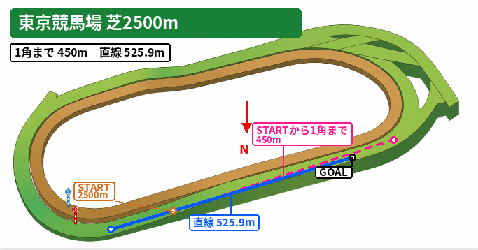 東京芝2500mのコース図