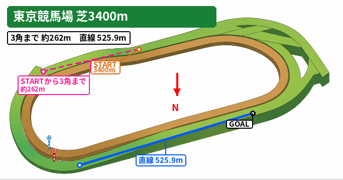 東京芝3400mのコース図